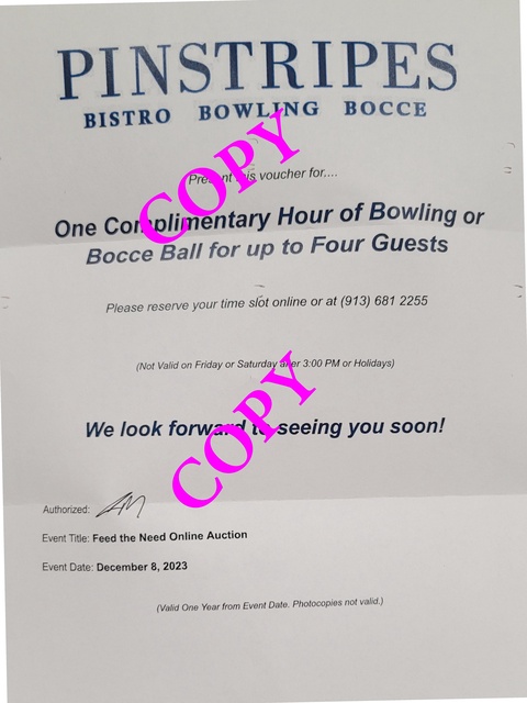 Bowling or Bocce Ball